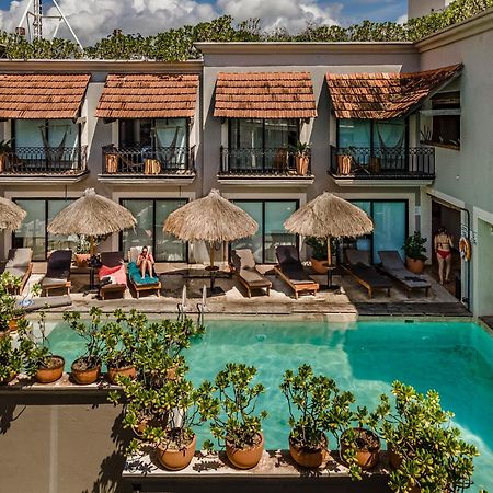Caribbean Paradise Hotel & Spa - 5Th Avenue 신데 델 카르멘 외부 사진