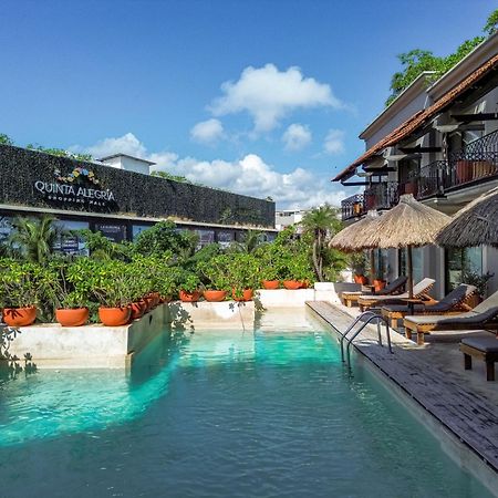 Caribbean Paradise Hotel & Spa - 5Th Avenue 신데 델 카르멘 외부 사진