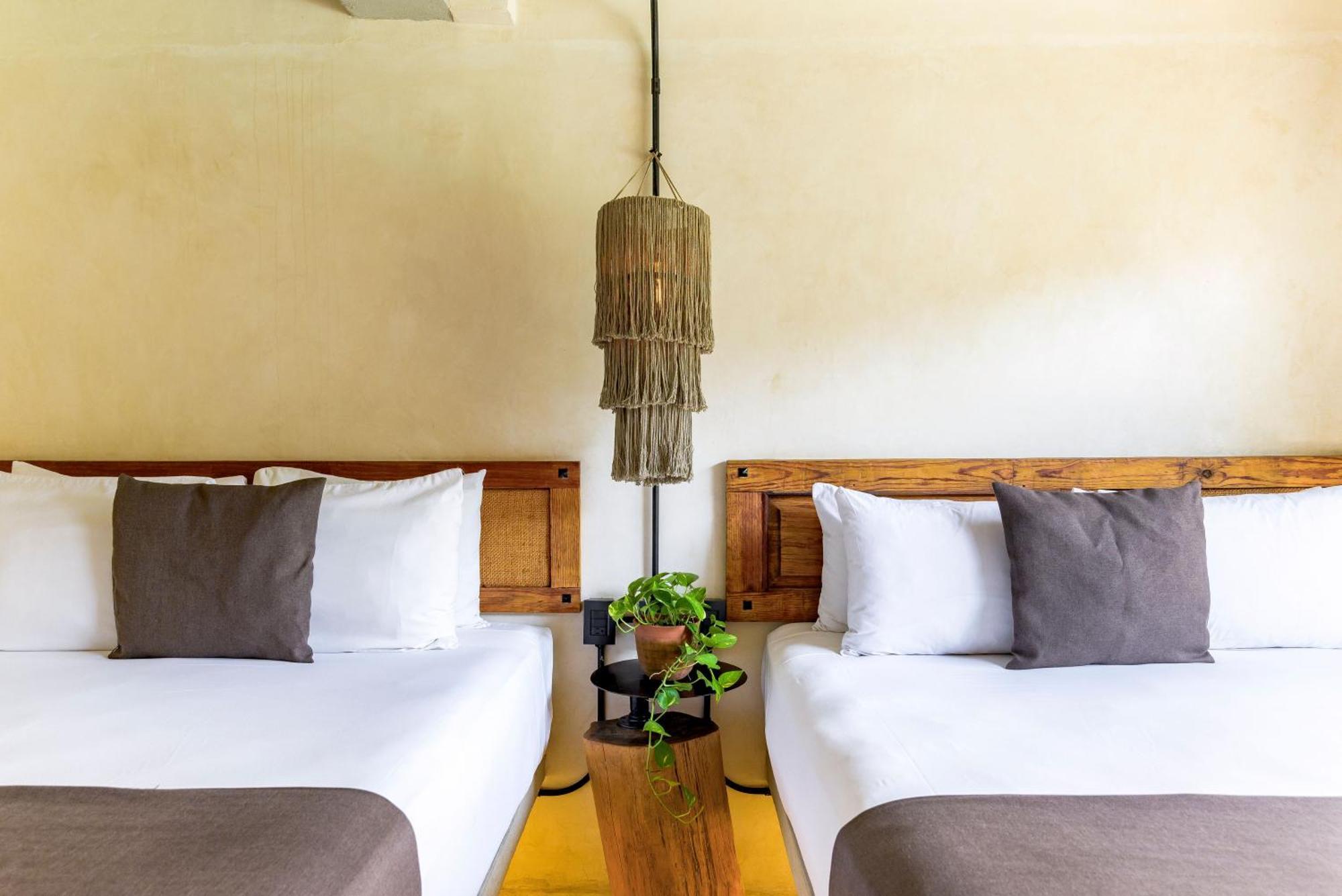 Caribbean Paradise Hotel & Spa - 5Th Avenue 신데 델 카르멘 외부 사진